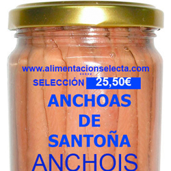 Anchois de Santoña