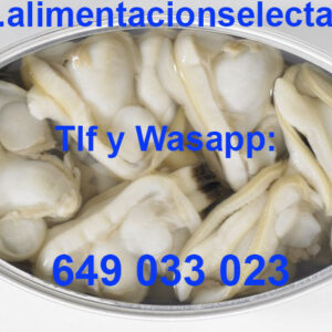 Comprar Almejas online de las Rías Gallegas comprar Almejas en conserva lata de 115 gr neto comprar Almejas Gallegas 16/20 piezas por lata comprar Almejas al natural Calidad Garantizada auténticas Almejas al natural sabor a Galicia y Rías gallegas cien por cien Si Usted quiere comprar almejas online, comprar almejas de agua dulce, comprar almejas frescas, comprar almejas gallegas con Calidad Garantizada, comprar almejas congeladas, comprar almejas en conserva, comprar almejas Amazon, comprar almejas Carrefour, comprar almejas Cuca, comprar almejas Mercadona, comprar almejas Dardo, comprar almejas Delfin, comprar almeja fina, comprar almejas lata, comprar almejas al natural, comprar almeja rubia, comprar almejas y gambas al ajillo, si Usted no sabe dónde comprar almejas vivas, si Usted no sabe cuándo comprar almejas frescas, denos una oportunidad y escoja comprar almejas al natural Gallegas en conserva de Alimentación Selecta, les aseguramos que nuestras almejas al natural son espectaculares en Calidad, limpieza y Sabor, son auténticas almejas al natural Gallegas de las Rías Gallegas y llevamos más de 20 años comercializando esta almeja gracias a su extraordinaria Calidad y precio, haciendo que todos nuestros clientes disfruten de verdad comprando almejas al natural Gallegas Alimentación Selecta precio ajustado Calidad Garantizada. Palabra de conservero Gallego. Todas nuestras conservas Gourmet son seleccionadas pieza a pieza entre las mejores bateas de las Rías Gallegas, sólo así conseguimos año a año que Ustedes puedan comprar las Mejores Conservas Gourmet de Galicia al mejor precio posible Garantizando siempre Calidad, Sabor y Textura. Palabra!!!. Recetas con almejas. Prueba de las innumerables posibilidades que tienen en su cocina las almejas gallegas, aquí les damos unas cuantas ideas de como cocinarlas ó prepararlas. Recetas con Almejas: receta de almejas a la marinera Cantabria, receta de almejas a la marinera receta dela abuela, receta de almejas a la marinera Karlos Arguiñano, receta de almejas a la marinera Thermomix receta de almejas en salsa verde, receta de almejas a la sartén, receta de almejas con arroz, receta de almejas al ajillo Thermomix, receta de almejas al vapor, receta de almejas marinera receta de almejas a la plancha, receta de almejas al vino blanco, receta de almejas al horno, receta de almejas al vapor Thermomix, receta de almejas al pil pil, recetas de almejas al natural como las que nosotros les vendemos.