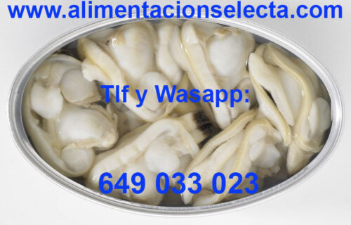 Comprar Almejas online de las Rías Gallegas comprar Almejas en conserva lata de 115 gr neto comprar Almejas Gallegas 16/20 piezas por lata comprar Almejas al natural Calidad Garantizada auténticas Almejas al natural sabor a Galicia y Rías gallegas cien por cien Si Usted quiere comprar almejas online, comprar almejas de agua dulce, comprar almejas frescas, comprar almejas gallegas con Calidad Garantizada, comprar almejas congeladas, comprar almejas en conserva, comprar almejas Amazon, comprar almejas Carrefour, comprar almejas Cuca, comprar almejas Mercadona, comprar almejas Dardo, comprar almejas Delfin, comprar almeja fina, comprar almejas lata, comprar almejas al natural, comprar almeja rubia, comprar almejas y gambas al ajillo, si Usted no sabe dónde comprar almejas vivas, si Usted no sabe cuándo comprar almejas frescas, denos una oportunidad y escoja comprar almejas al natural Gallegas en conserva de Alimentación Selecta, les aseguramos que nuestras almejas al natural son espectaculares en Calidad, limpieza y Sabor, son auténticas almejas al natural Gallegas de las Rías Gallegas y llevamos más de 20 años comercializando esta almeja gracias a su extraordinaria Calidad y precio, haciendo que todos nuestros clientes disfruten de verdad comprando almejas al natural Gallegas Alimentación Selecta precio ajustado Calidad Garantizada. Palabra de conservero Gallego. Todas nuestras conservas Gourmet son seleccionadas pieza a pieza entre las mejores bateas de las Rías Gallegas, sólo así conseguimos año a año que Ustedes puedan comprar las Mejores Conservas Gourmet de Galicia al mejor precio posible Garantizando siempre Calidad, Sabor y Textura. Palabra!!!. Recetas con almejas. Prueba de las innumerables posibilidades que tienen en su cocina las almejas gallegas, aquí les damos unas cuantas ideas de como cocinarlas ó prepararlas. Recetas con Almejas: receta de almejas a la marinera Cantabria, receta de almejas a la marinera receta dela abuela, receta de almejas a la marinera Karlos Arguiñano, receta de almejas a la marinera Thermomix receta de almejas en salsa verde, receta de almejas a la sartén, receta de almejas con arroz, receta de almejas al ajillo Thermomix, receta de almejas al vapor, receta de almejas marinera receta de almejas a la plancha, receta de almejas al vino blanco, receta de almejas al horno, receta de almejas al vapor Thermomix, receta de almejas al pil pil, recetas de almejas al natural como las que nosotros les vendemos.