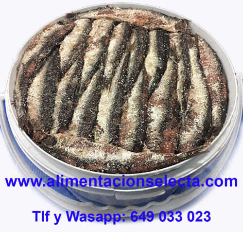 Anchoas en Salazón de Santoña presentadas en un 4 cubos de 5 kilos de peso cada uno, rellenos hasta el tope de auténticas Anchoas en Salazón de Santoña. Salazones de pescado del Cantábrico, comprados en la lonja de Santoña y elaborados en salazón por las manos expertas de nuestras conserveras para poderles enviar a domicilio a cualquier destino dentro de la península española, auténtico salazón de anchoa de Santoña en cubos de 5 kilos de peso. Comprar salazones por internet salazones online nunca ha sido tan fácil y tan barato. Si quiere comprar las Mejores Anchoas en salazón de Santoña, no lo dude compre Salazones de Anchoa Alimentación Selecta. Vendemos la mejor Calidad de Anchoas en Salazón de Santoña y del Mar Cantábrico. Si quiere comprar salazones en Madrid, salazones en Barbate, salazones en Alicante, salazones en Cartagena, salazones en Murcia, salazones en San Pedro del Pinatar, salazones en Cádiz, salazones en Isla Cristina, salazones en Santa Pola comprar salazones online nosotros tenemos las Mejores Anchoas en Salazón de Santoña, Anchoas en salazón receta tradicional elaborada a la mejor selección de anchoas del mar cantábrico maduradas en salazón durante al menos 9 meses antes de ponerlas a la venta. Si conoce las anchoas en salazón Ortiz, si conoce las anchoas en salazón Yurrita y quiere comprar anchoas en salazón calidad gourmet, no lo dude y compre Anchoas en Salazón receta tradicional de Santoña elaboradas por Alimentación Selecta en Santoña con bocartes del Mar Cantábrico comprados en la lonja de Santoña entre los meses de mayo a julio del año anterior. Compre anchoas en salazón propiedades naturales con certificación de zona de captura incluida. Compre ahora las mejores anchoas en salazón para bares restaurantes y hostelería. Para comprar anchoas del Cantábrico en Salazón con Total Garantía de sabor, calidad y textura compre salazón de anchoas Alimentación Selecta. Comprar online salazón de pescado ó Anchoas del Mar Cantábrico en salazón es así de fácil, Usted nos dice cuántos cubos de salazón de anchoa quiere y nosotros se lo enviamos a domicilio en 24 48 horas a cualquier destino dentro de la península española. No busque más dónde comprar salazones de Anchoa en ninguna ciudad de España, nosotros le enviamos su compra de salazones de anchoa a cualquier destino dentro de la península española. Si Usted quiere saber cómo elaborar sus propias anchoas de Santoña siguiendo la receta tradicional en su casa, bar o restaurante, en nuestra web Usted puede comprar Anchoas en salazón de las mismas camadas de pescado del mar Cantábrico que nosotros utilizamos para elaborar nuestras anchoas en conserva, para elaborar Usted en su casa o en su restaurante, bar u hostelería sus propias anchoas caseras con pesca del Mar Cantábrico Garantizada. Por su excelente calidad grosor textura y sobre todo sabor final estos salazones de anchoa de Santoña son incomparables y Usted puede elaborar con ellos decenas de preparaciones con las mejores Anchoas de Santoña según las recetas tradicionales para bares, restaurantes y hostelería. Cada cubo de salazón de pescado de Anchoa de Santoña es preparado para su envío sólo bajo pedido, con toda su caducidad y propiedades del salazón completos, de tal manera que usted tenga tiempo suficiente en su domicilio o negocio de elaborar sus recetas de anchoas y salazones con toda tranquilidad. Ya saben que el origen del salazón es romano, pero en Santoña le dimos una vuelta de tuerca y descubrimos que los bocartes en salazón madurados durante 9 meses o más se convertían en riquísimas anchoas de Santoña que metidas en conserva podían enviarse a domicilio a cualquier parte del mundo. Ahora hemos hecho lo mismo con el salazón y gracias a las modernas mensajerías y su servicio de entrega en 24 48 horas podemos enviarles anchoas de Santoña en salazón a cualquier destino dentro de la península española en tan solo 24 48 h. Nuestro mejor premio a la Calidad es que Ustedes prueben esta oferta de salazones de Anchoa del Mar Cantábrico y nos comenten después qué les ha parecido y qué maravillosas recetas de anchoas han podido elaborar con ellas. Garantizamos la Calidad, la Textura y el Sabor de estos Salazones de Anchoa artesana de Santoña gracias a su cuidadosa selección y elaboración tradicional en nuestra fábrica de Santoña. Seguro que tiene amigos o compañeros de trabajo que ya han probado la excelente calidad de nuestras Anchoas de Santoña en Salazón propiedades Gourmet y pueden preguntarles qué les ha parecido a ellos cuando los han comprado y elaborado en su casa, ya que el boca a boca es nuestra mejor publicidad. No podemos garantizar este precio de los 4 cubos de 5 kilos de Anchoas en Salazón de Santoña de manera indefinida debido al coste de la materia prima que cambia de costera en costera, aproveche esta oferta de Salazones de anchoa Gourmet de Santoña ya que nuestra producción es limitada por el tiempo de maduración y por su tratamiento artesanal en fábrica necesario para su comercialización. No busque más dónde comprar salazones por internet salazones online de anchoas de Santoña, nosotros tenemos a la venta los mejores Anchoas de Santoña en salazón de toda España. Salazones Gourmet para elaborar las mejores recetas tradicionales de anchoas Compre cubos de anchoas en salazón de 5 kilos, 20 kilos de salazones de Santoña en total y disfrute elaborando sus propias anchoas de Santoña para sus amigos, familiares, bares, restaurantes, hostelería, etc. Anchoas en salazón con todas sus propiedades organolépticas plenas esperando ser elaboradas por sus manos. Anchoas del Cantábrico en salazón para regalar o disfrutar con envío a domicilio incluido. Comprar cubos de 5 kilos de salazón de anchoas del mar Cantábrico para elaborar en su casa sus propias anchoas no es una mala idea… Los Mejores Salazones de pescado y de anchoas de Santoña en cubos de 5 kilos de peso neto Si busca dónde comprar salazones online por internet Alimentación Selecta es su web Oferta de Anchoas del Mar Cantábrico en Salazón en cubos de 5 kilos de peso neto Garantizamos 100% la Calidad de nuestras Anchoas en salazón de Santoña Anchoas en salazón de Santoña receta tradicional para elaborar las Mejores Anchoas Caseras en su domicilio.