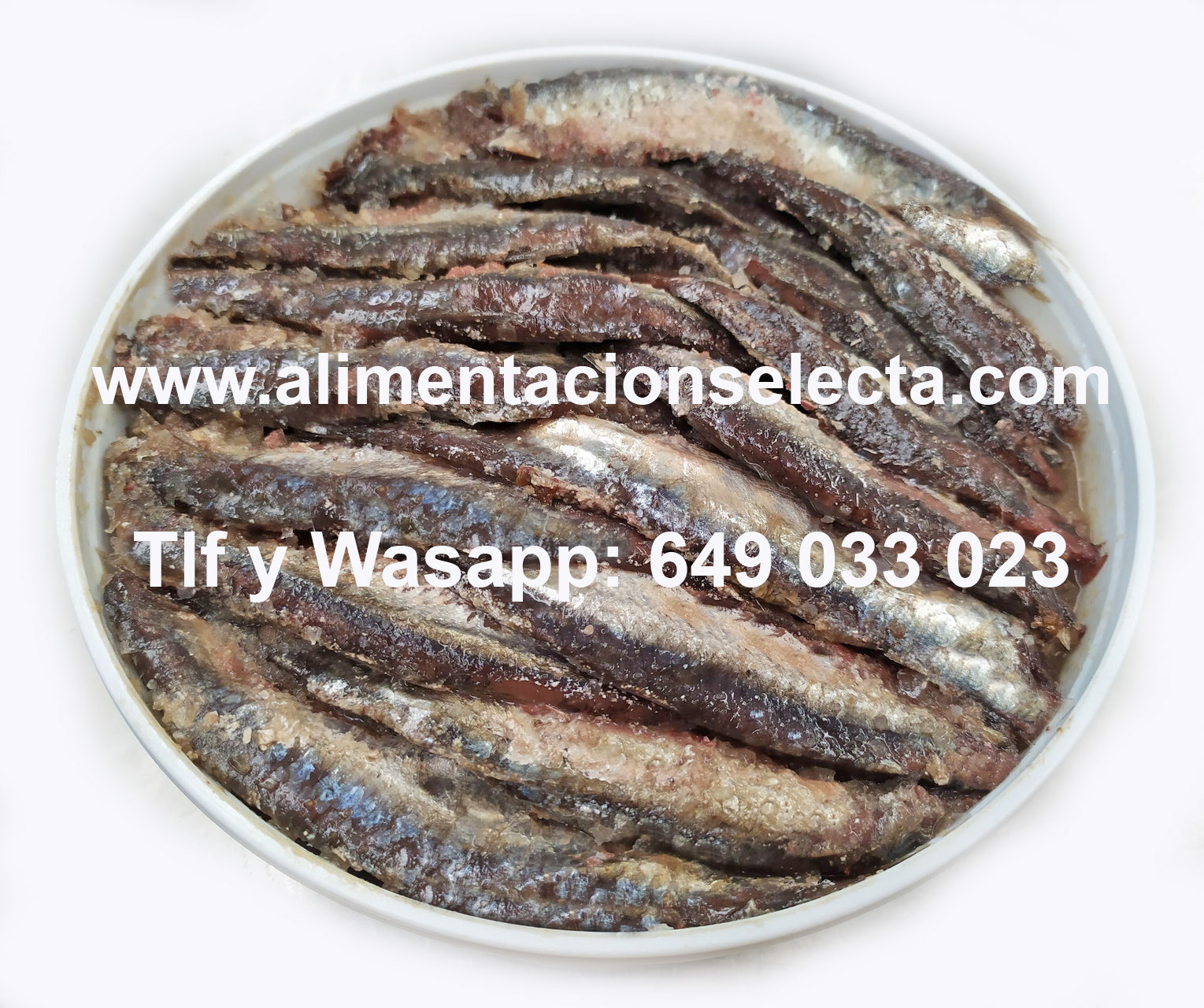 Las mejores Anchoas de Santoña. Conservas 100% tradicionales