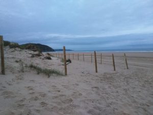 FOTOGRAFIAS DE LA PLAYA DE BERRIA EN SANTOÑA CANTABRIA (1)