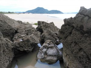 FOTOGRAFIAS DE LA PLAYA DE BERRIA EN SANTOÑA CANTABRIA (17)