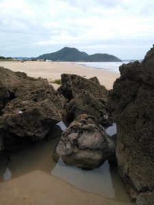 FOTOGRAFIAS DE LA PLAYA DE BERRIA EN SANTOÑA CANTABRIA (18)