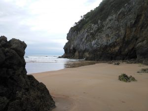 FOTOGRAFIAS DE LA PLAYA DE BERRIA EN SANTOÑA CANTABRIA (19)