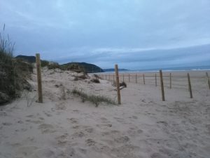 FOTOGRAFIAS DE LA PLAYA DE BERRIA EN SANTOÑA CANTABRIA (2)