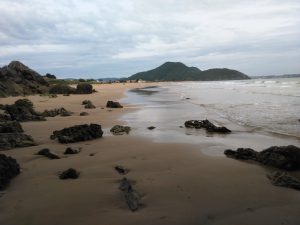 FOTOGRAFIAS DE LA PLAYA DE BERRIA EN SANTOÑA CANTABRIA (25)