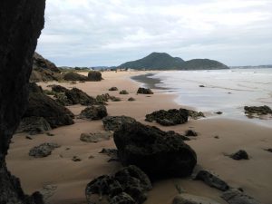 FOTOGRAFIAS DE LA PLAYA DE BERRIA EN SANTOÑA CANTABRIA (26)