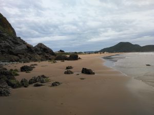 FOTOGRAFIAS DE LA PLAYA DE BERRIA EN SANTOÑA CANTABRIA (31)