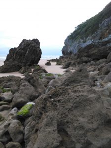 FOTOGRAFIAS DE LA PLAYA DE BERRIA EN SANTOÑA CANTABRIA (9)