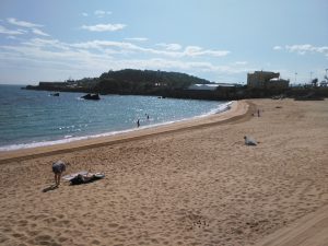 FOTOGRAFIAS DE LAS PLAYAS DE SANTANDER LA MAGDALENA LOS BIKINIS (5)