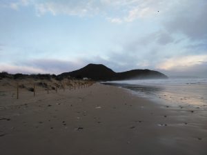 FOTOS DE LA MEJOR PLAYA DE CANTABRIA EN SANTOÑA BERRIA (12)