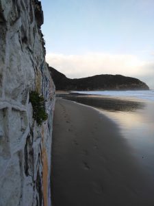 FOTOS DE LA MEJOR PLAYA DE CANTABRIA EN SANTOÑA BERRIA (15)