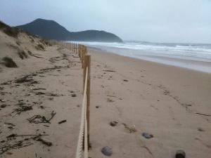 FOTOS DE LA MEJOR PLAYA DE CANTABRIA EN SANTOÑA BERRIA (5)