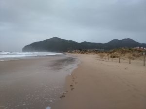 FOTOS DE LA MEJOR PLAYA DE CANTABRIA EN SANTOÑA BERRIA (8)