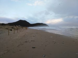 FOTOS DE LA MEJOR PLAYA DE CANTABRIA EN SANTOÑA BERRIA (9)