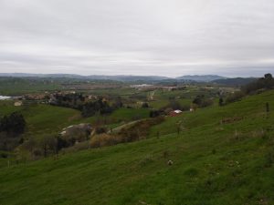 FOTOS DE LA SUBIDA A PEÑA CABARGA EN SOLARES HERAS CANTABRIA (8)