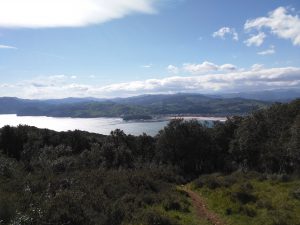 FOTOS DE LA SUBIDA AL MONTE BUCIERO DE SANTOÑA LA CRUZ DE LOS ALMENDROS (17)