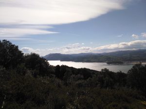 FOTOS DE LA SUBIDA AL MONTE BUCIERO DE SANTOÑA LA CRUZ DE LOS ALMENDROS (18)