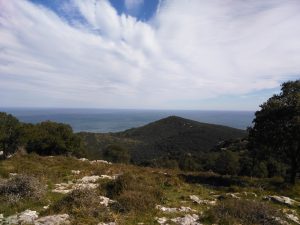 FOTOS DE LA SUBIDA AL MONTE BUCIERO DE SANTOÑA LA CRUZ DE LOS ALMENDROS (22)