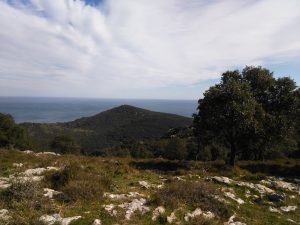 FOTOS DE LA SUBIDA AL MONTE BUCIERO DE SANTOÑA LA CRUZ DE LOS ALMENDROS (23)