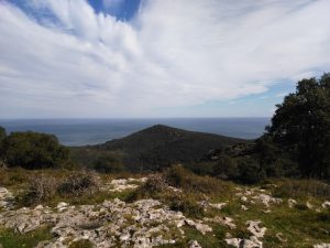 FOTOS DE LA SUBIDA AL MONTE BUCIERO DE SANTOÑA LA CRUZ DE LOS ALMENDROS (24)