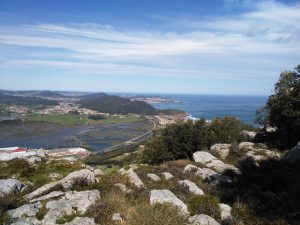 FOTOS DE LA SUBIDA AL MONTE BUCIERO DE SANTOÑA LA CRUZ DE LOS ALMENDROS (25)