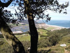 FOTOS DE LA SUBIDA AL MONTE BUCIERO DE SANTOÑA LA CRUZ DE LOS ALMENDROS (68)