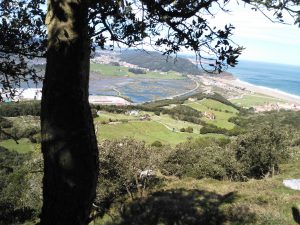 FOTOS DE LA SUBIDA AL MONTE BUCIERO DE SANTOÑA LA CRUZ DE LOS ALMENDROS (69)