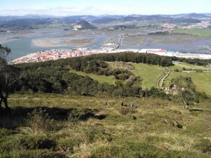 FOTOS DE LA SUBIDA AL MONTE BUCIERO DE SANTOÑA LA CRUZ DE LOS ALMENDROS (73)