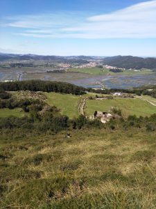 FOTOS DE LA SUBIDA AL MONTE BUCIERO DE SANTOÑA LA CRUZ DE LOS ALMENDROS (74)