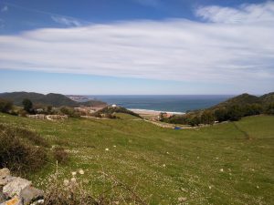 FOTOS DE LA SUBIDA AL MONTE BUCIERO DE SANTOÑA LA CRUZ DE LOS ALMENDROS (75)