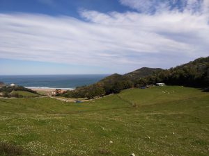 FOTOS DE LA SUBIDA AL MONTE BUCIERO DE SANTOÑA LA CRUZ DE LOS ALMENDROS (76)