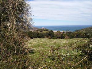 FOTOS DE LA SUBIDA AL MONTE BUCIERO DE SANTOÑA LA CRUZ DE LOS ALMENDROS (80)