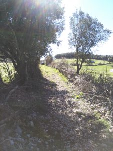 FOTOS DE LA SUBIDA AL MONTE BUCIERO DE SANTOÑA LA CRUZ DE LOS ALMENDROS (82)