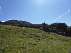 FOTOS DE LA SUBIDA AL MONTE BUCIERO DE SANTOÑA LA CRUZ DE LOS ALMENDROS (85)