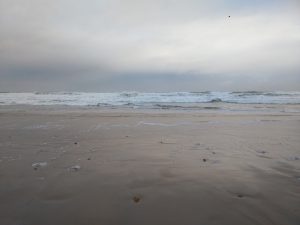 FOTOS PLAYA DE BERRIA SANTOÑA (3)