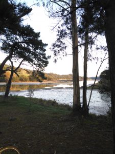 LAS MEJORES FOTOS DE LAS MARISMAS DE AJO Y ARNUERO FOTOGRAFIAS DE PAISAJES DE CANTABRIA VIAJES PLAYAS (2)