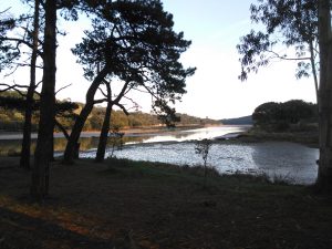 LAS MEJORES FOTOS DE LAS MARISMAS DE AJO Y ARNUERO FOTOGRAFIAS DE PAISAJES DE CANTABRIA VIAJES PLAYAS (3)