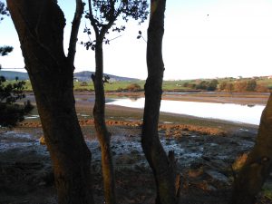 LAS MEJORES FOTOS DE LAS MARISMAS DE AJO Y ARNUERO FOTOGRAFIAS DE PAISAJES DE CANTABRIA VIAJES PLAYAS (5)