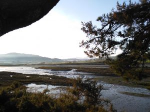 LAS MEJORES FOTOS DE LAS MARISMAS DE AJO Y ARNUERO FOTOGRAFIAS DE PAISAJES DE CANTABRIA VIAJES PLAYAS (7)