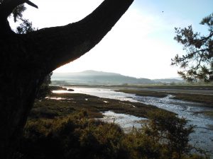 LAS MEJORES FOTOS DE LAS MARISMAS DE AJO Y ARNUERO FOTOGRAFIAS DE PAISAJES DE CANTABRIA VIAJES PLAYAS (9)