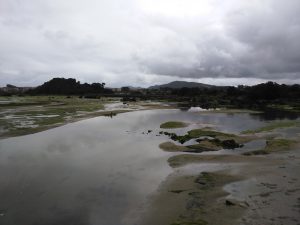 LAS MEJORES FOTOS DE LAS MARISMAS DE ISLA NOJA JOYEL Y SANTOÑA FOTOGRAFIAS DE VIAJES EN CANTABRIA PAISAJES (1)