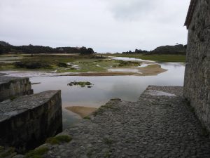 LAS MEJORES FOTOS DE LAS MARISMAS DE ISLA NOJA JOYEL Y SANTOÑA FOTOGRAFIAS DE VIAJES EN CANTABRIA PAISAJES (10)