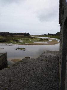 LAS MEJORES FOTOS DE LAS MARISMAS DE ISLA NOJA JOYEL Y SANTOÑA FOTOGRAFIAS DE VIAJES EN CANTABRIA PAISAJES (11)