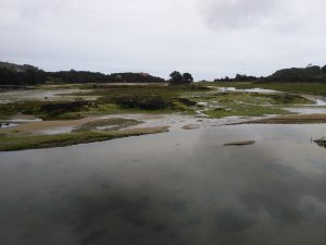 LAS MEJORES FOTOS DE LAS MARISMAS DE ISLA NOJA JOYEL Y SANTOÑA FOTOGRAFIAS DE VIAJES EN CANTABRIA PAISAJES (12)