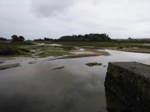 LAS MEJORES FOTOS DE LAS MARISMAS DE ISLA NOJA JOYEL Y SANTOÑA FOTOGRAFIAS DE VIAJES EN CANTABRIA PAISAJES (14)