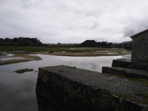 LAS MEJORES FOTOS DE LAS MARISMAS DE ISLA NOJA JOYEL Y SANTOÑA FOTOGRAFIAS DE VIAJES EN CANTABRIA PAISAJES (15)