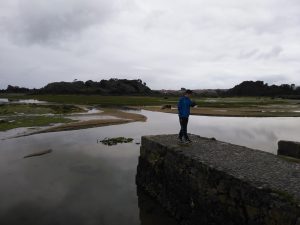 LAS MEJORES FOTOS DE LAS MARISMAS DE ISLA NOJA JOYEL Y SANTOÑA FOTOGRAFIAS DE VIAJES EN CANTABRIA PAISAJES (16)