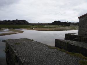 LAS MEJORES FOTOS DE LAS MARISMAS DE ISLA NOJA JOYEL Y SANTOÑA FOTOGRAFIAS DE VIAJES EN CANTABRIA PAISAJES (17)